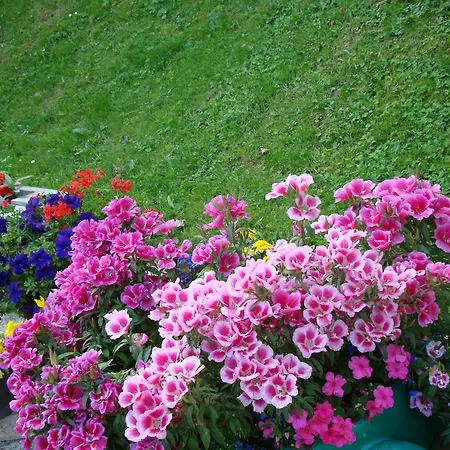 Gaestehaus Apschner Sankt Corona am Wechsel