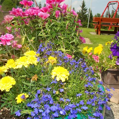 Gaestehaus Apschner Sankt Corona am Wechsel