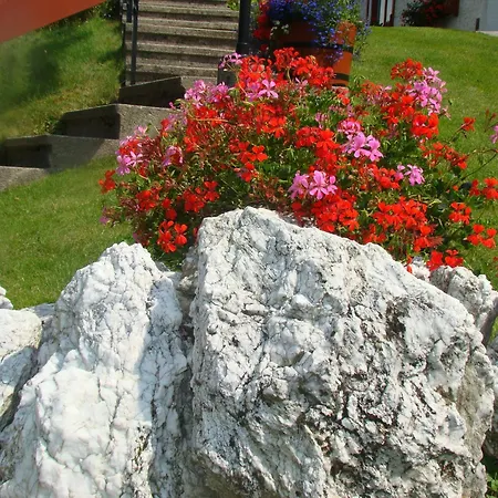 Gaestehaus Apschner Penzion