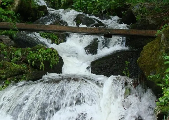 Gaestehaus Apschner 3*