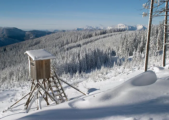 Gaestehaus Apschner Sankt Corona am Wechsel