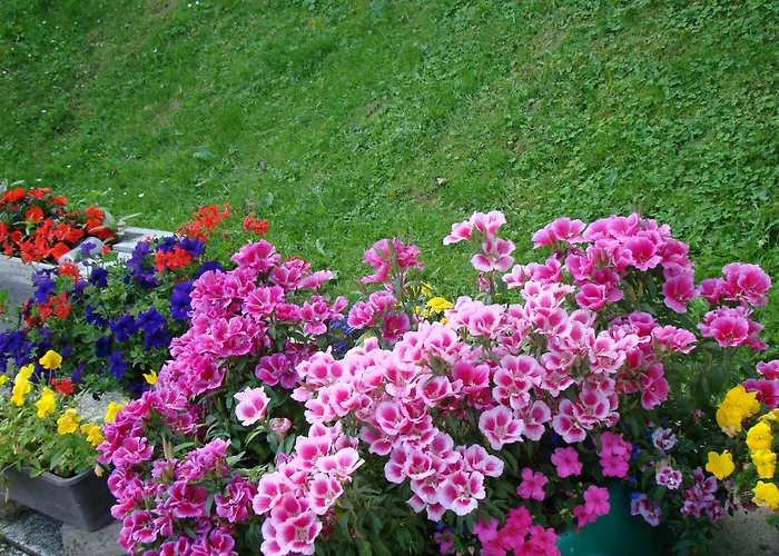 Gaestehaus Apschner Sankt Corona am Wechsel