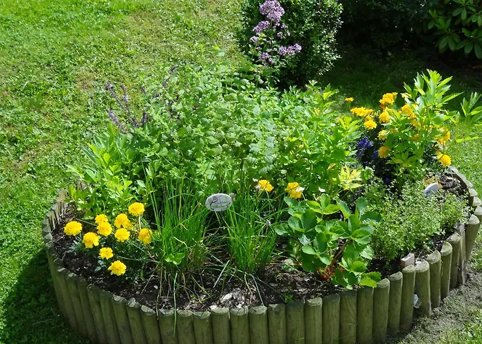 게스트하우스 Gaestehaus Apschner